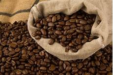 Coffee Seed Drying