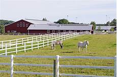 Horse Barn Disinfectants