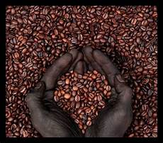 Origin Coffee Bean