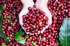Coffee Packagings