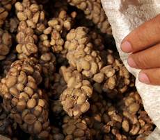 Coffee Roasting