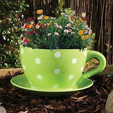 Coffee Saucer