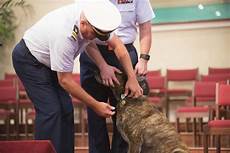 Security Team