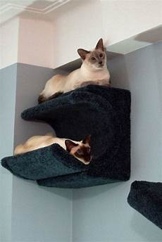 Shelf Systems